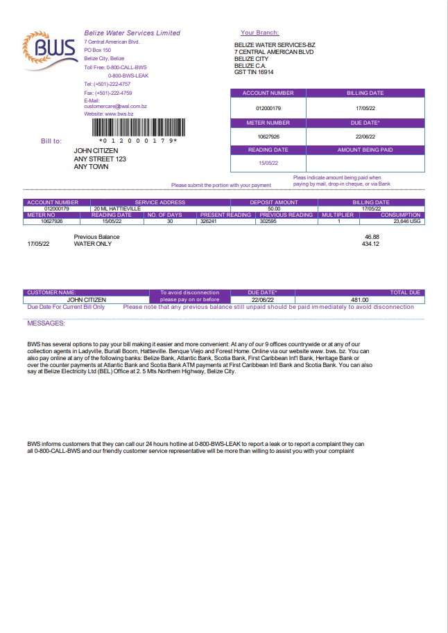 Belize Water Services Limited utility bill template in Word and PDF format